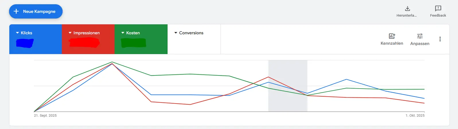 Screenshot eines Google Ads Dashboards – zeigt Klicks, Impressionen, Kosten und Conversions einer erfolgreichen Google Ads Kampagne, erstellt von einer professionellen Google Ads Agentur.